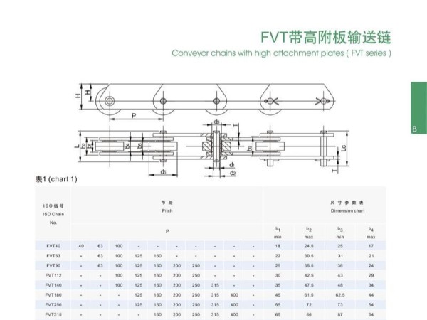 FVT带高链板输送链