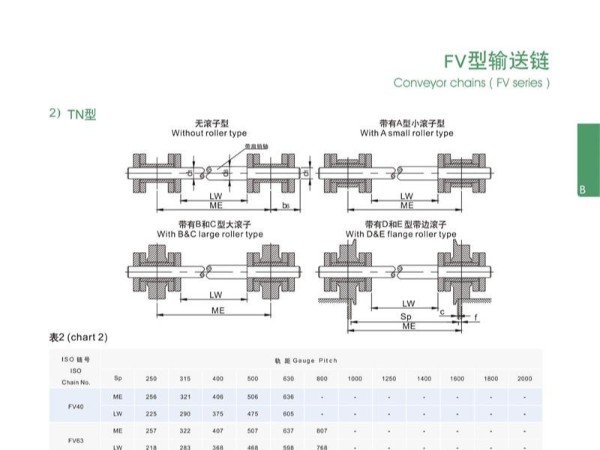 FV型输送链_双排
