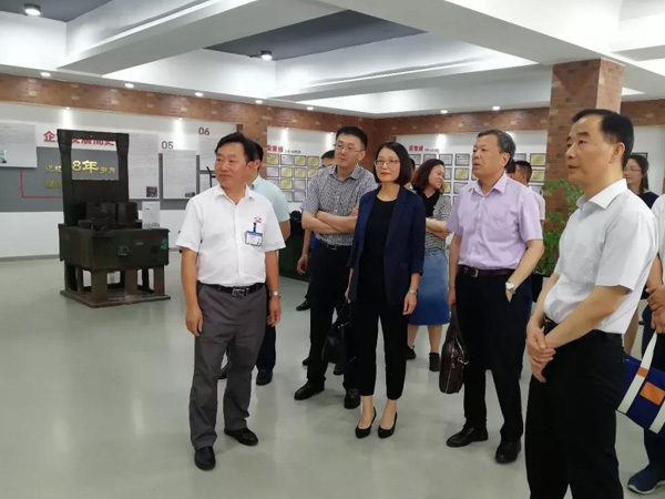 苏州环球链条迎来党建领导考察